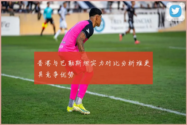 香港与巴勒斯坦实力对比分析谁更具竞争优势