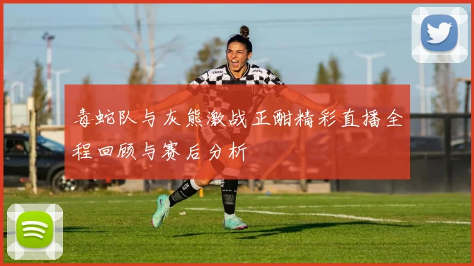 毒蛇队与灰熊激战正酣精彩直播全程回顾与赛后分析